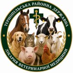 ������� ������������ ������� �������� ������ ����������� ��������, ������ ����������