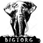 ������� ��������-������� "BigTorg", ��������