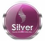 ������� ������-������ "Silver", ��������
