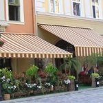 C���� ���� Sofi, �������� - ������, �������, ���������
