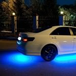 �� ���� �������������, �������� - ������, �������, ���������