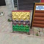 �����-���, �������� - ������, �������, ���������