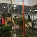 ��� "�����-����", �������� - ������, �������, ���������
