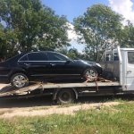 ������� �����������, �������������, �������� - ������, �������, ���������
