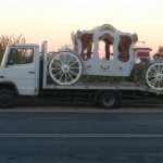 ������� �����������, �������������, �������� - ������, �������, ���������