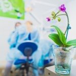 ������������� ������ "Biodenta" (��������), �������� - ������, �������, ���������