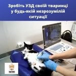 ��������� ����������� ������-������ "�����", �������� - ������, �������, ���������