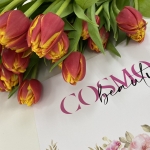 ����� ����� Cosmo beauty, �������� - ������, �������, ���������