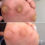 ������ "������� ������� �����"��, �������� - ������, �������, ���������