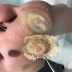 ������ "������� ������� �����"��, �������� - ������, �������, ���������