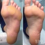 ������ "������� ������� �����"��, �������� - ������, �������, ���������