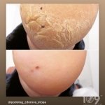 ������ "������� ������� �����"��, �������� - ������, �������, ���������