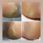 ������ "������� ������� �����"��, �������� - ������, �������, ���������