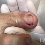������ "������� ������� �����"��, �������� - ������, �������, ���������