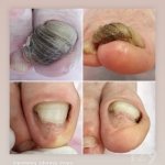 ������ "������� ������� �����"��, �������� - ������, �������, ���������