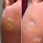 ������ "������� ������� �����"��, �������� - ������, �������, ���������