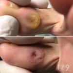 ������ "������� ������� �����"��, �������� - ������, �������, ���������