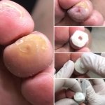 ������ "������� ������� �����"��, �������� - ������, �������, ���������
