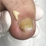 ������ "������� ������� �����"��, �������� - ������, �������, ���������
