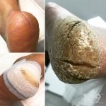 ������ "������� ������� �����"��, �������� - ������, �������, ���������