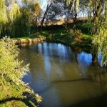 �������� ������ ������� �'�� - ������, �����, ��������, ������ - ������, �������, ���������