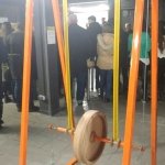 ����� �����, �������� - ������, �������, ���������