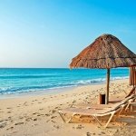 ���������� ������� DelMare, �������� - ������, �������, ���������
