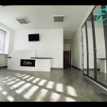 ����������� "Estetica", �������� - ������, �������, ���������