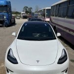 �������� �� �� ����� ���� ��������, �������� - ������, �������, ���������