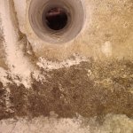 ������� ������,  - ������, �������, ���������