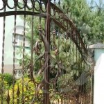 �������� ������ �� ��������� "����", �������� - ������, �������, ���������