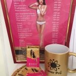 Laser PRO, �������� - ������, �������, ���������