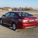 �������� ���� � ��� American Auto-Moto, �������� - ������, �������, ���������