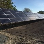 EcoLife - ������� ��������������, �������� - ������, �������, ���������