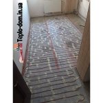 ������������ ������� "����� ������ ����" - ���������� ����� ������, �������� - ������, �������, ���������