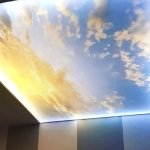 ������� ���� "Mirax",  - ������, �������, ���������