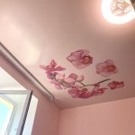������� ���� "Mirax",  - ������, �������, ���������
