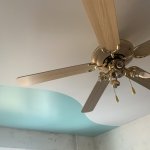 ������� ���� "Mirax",  - ������, �������, ���������