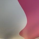 ������� ���� "Mirax",  - ������, �������, ���������