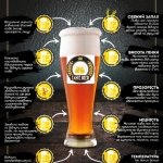 ���� ���� "Taste Beer", �������� - ������, �������, ���������