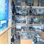 ������� ������ �� ������������ ����������, �������� - ������, �������, ���������